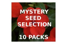 MYSTERY VALUE SELECTION OF 10 PACKS OF SEEDS